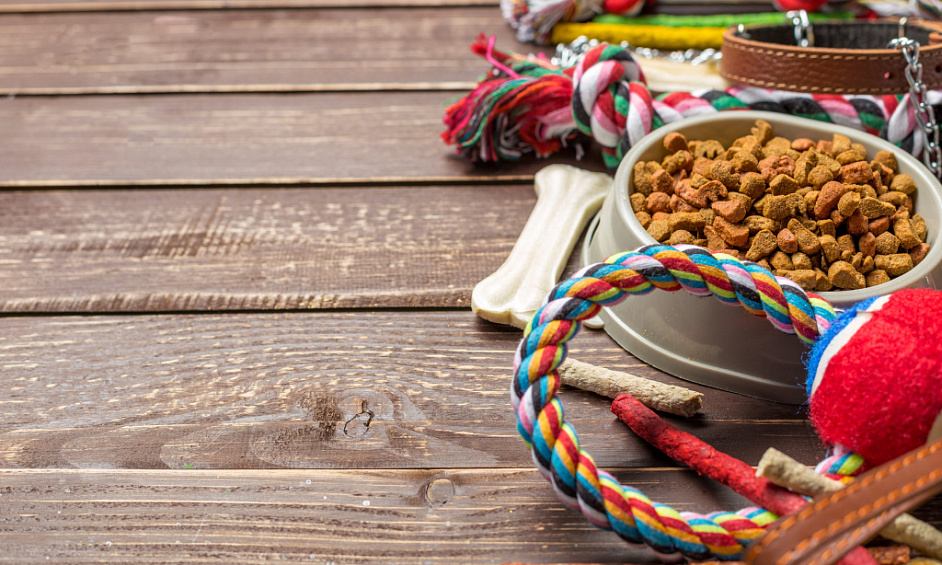 Profitable Pet Food Store In Port Elizabeth For Sale 1