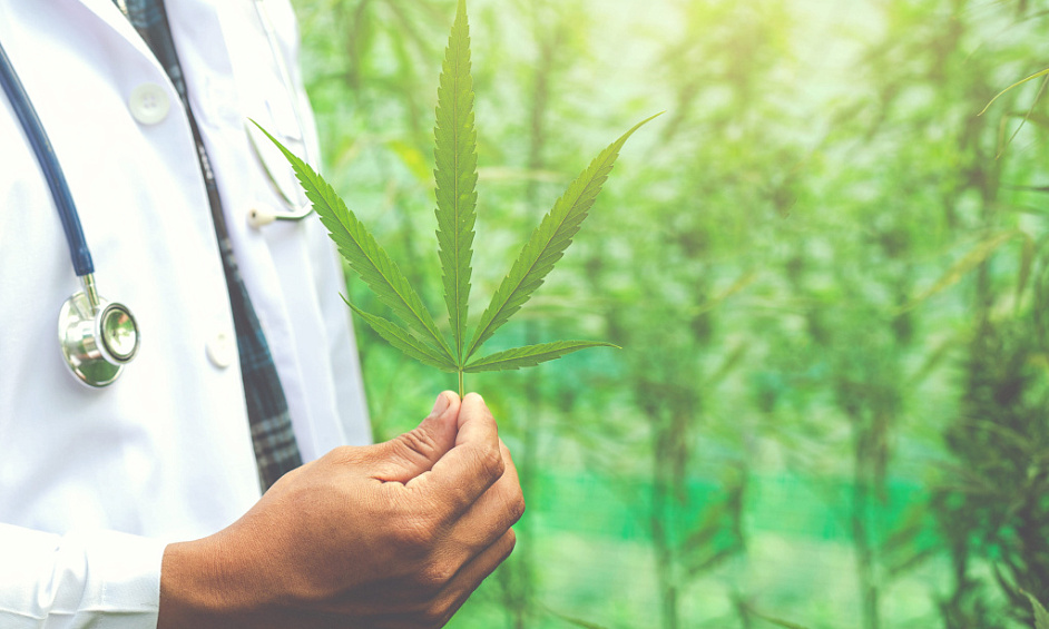 Medical Cannabis Grow Facility With Cgmp Standards For Sale 1