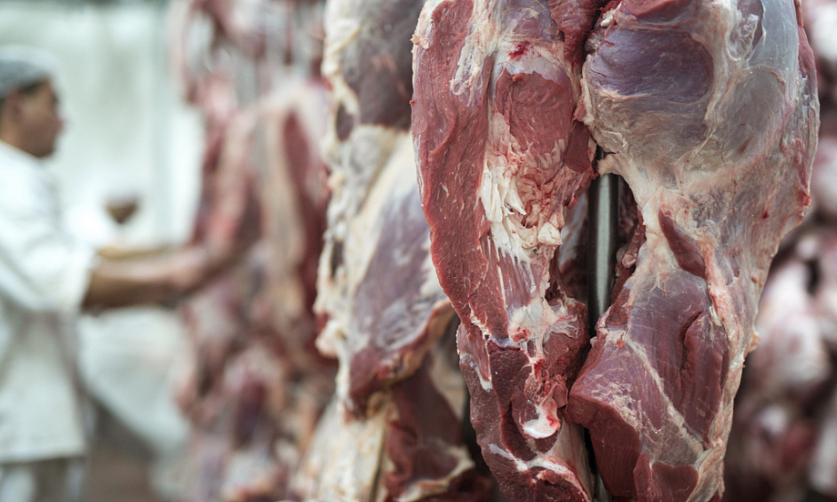 Wholesale Butchery And Biltong Factory In Johannesburg For Sale 1